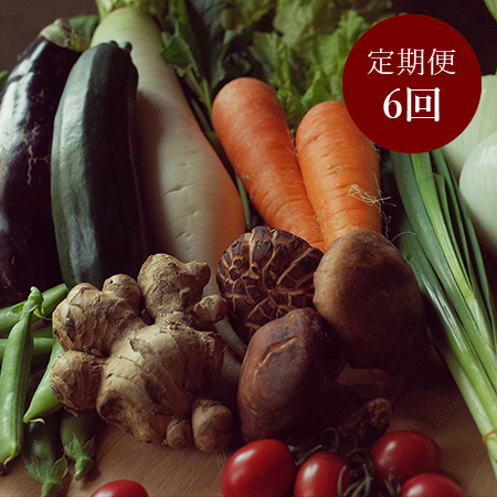 【土佐野菜】朝採れ土佐野菜とはでかけ米2kgセット　定期便6回