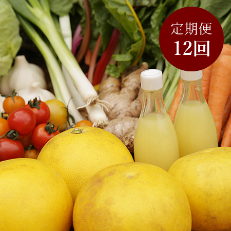 【土佐野菜】朝採れ土佐野菜と季節のお裾分けセット　定期便12回