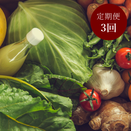 旬の「土佐野菜」セット10～13品【3ヵ月定期便】4月開始