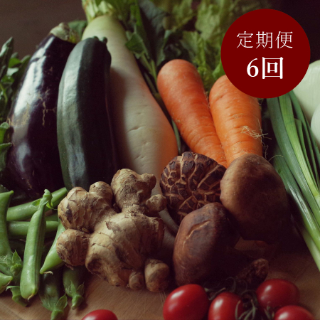 「生姜」と旬の「土佐野菜」セット11～14品【6ヵ月定期便】4月開始