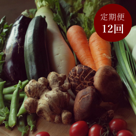 「生姜」と旬の「土佐野菜」セット11～14品【12ヵ月定期便】4月開始