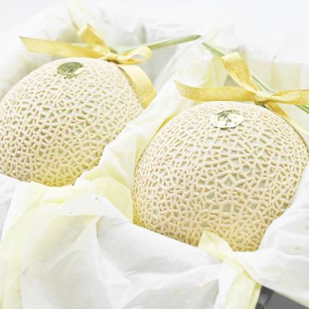 ＜一果相伝＞特選花包み マスクメロン2玉(2.8kg以上)