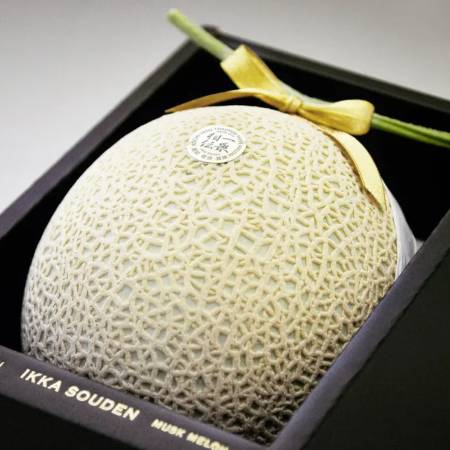 ＜一果相伝＞上級品 マスクメロン1玉(1.4kg以上)