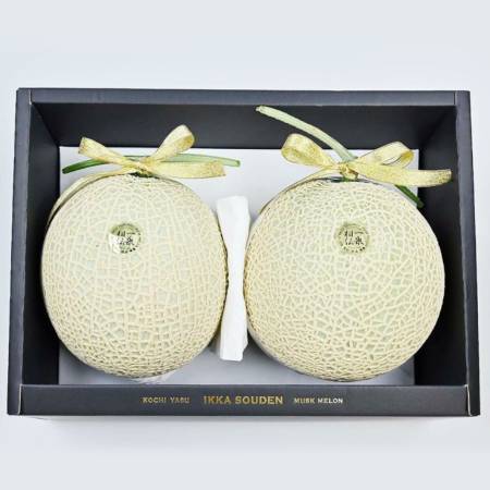＜一果相伝＞上級品 マスクメロン2玉(2.8kg以上)