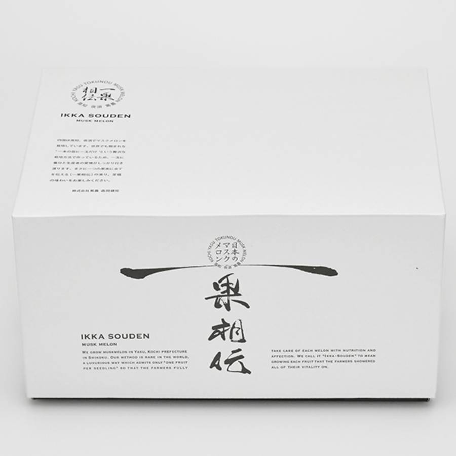＜一果相伝＞上級品 マスクメロン2玉(2.8kg以上)