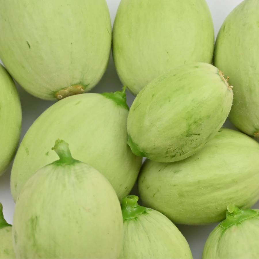 ＜一果相伝＞『つるかめろんの玉子』(摘果メロン)2kg