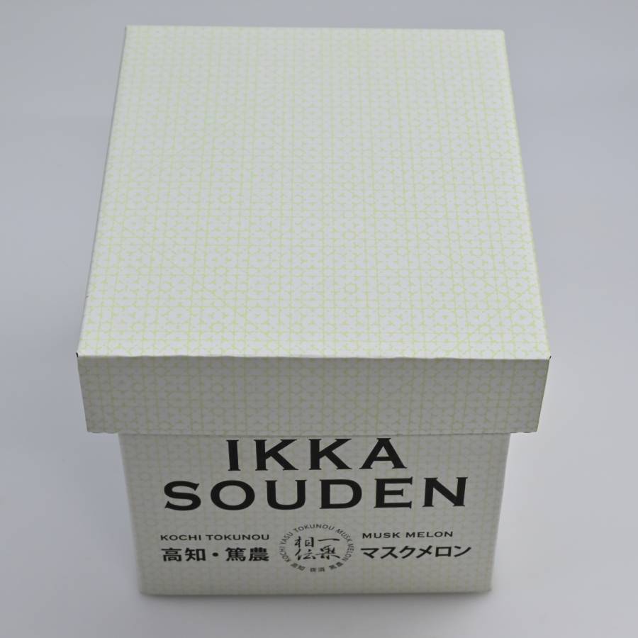 ＜一果相伝＞『つるかめろんの玉子』(摘果メロン)2kg