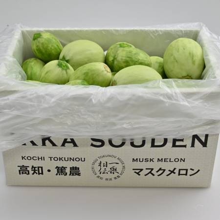 ＜一果相伝＞『つるかめろんの玉子』(摘果メロン)4.5kg