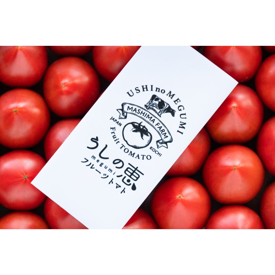 <うしの恵 眞嶋農園>フルーツトマト化粧箱入1.5kg