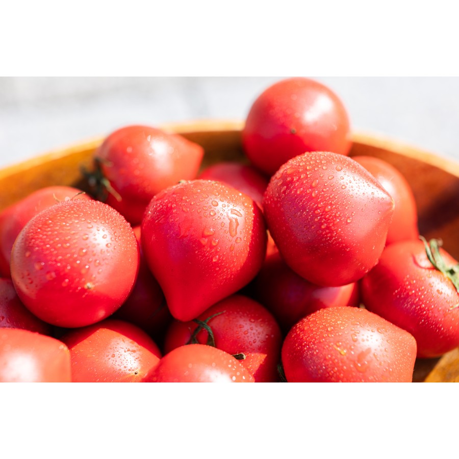 <うしの恵 眞嶋農園>フルーツトマトセット1kg(500g×2)