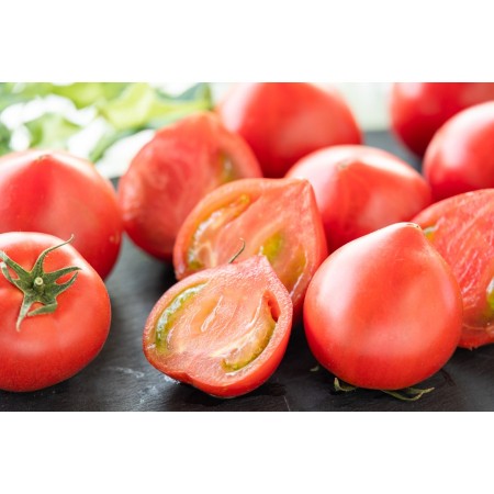 ＜うしの恵 眞嶋農園＞フルーツトマトセット1kg(500g×2)