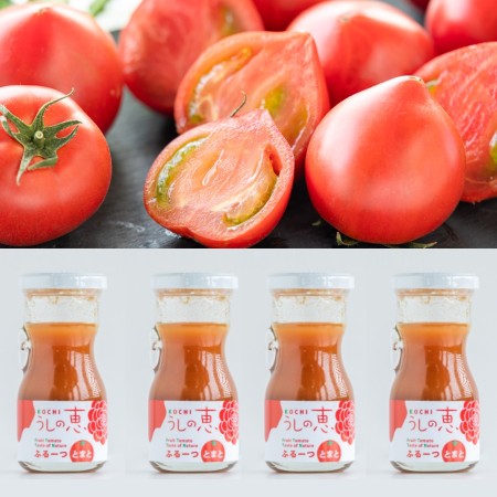＜うしの恵 眞嶋農園＞フルトマセット(トマト500g＆ジュース4本)