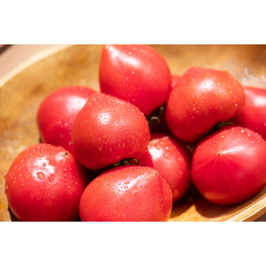 【もったいない!を食べよう】<うしの恵 眞嶋農園>フルーツトマト家庭用1.5kg