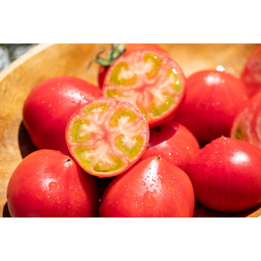 【もったいない!を食べよう】<うしの恵 眞嶋農園>フルーツトマト家庭用1.5kg