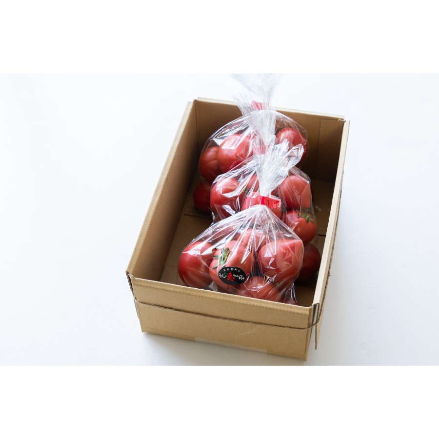 【もったいない!を食べよう】<うしの恵 眞嶋農園>フルーツトマト家庭用1.5kg