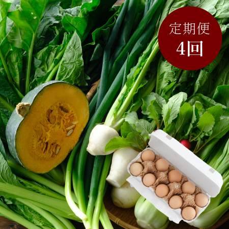 「高知県産」季節の野菜（６～7種）&「土佐ジロー」卵（10個）セット栽培期間中農薬不使用3kg【1月～4月お届け4カ月定期便】