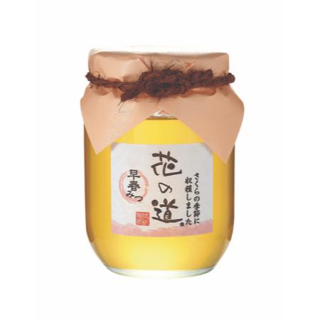 ＜九州蜂の子本舗＞国産早春みつ750g