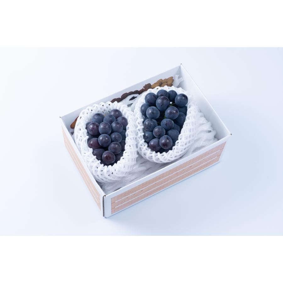 ＜福岡八女産黒木＞ピオーネ１ｋｇ
