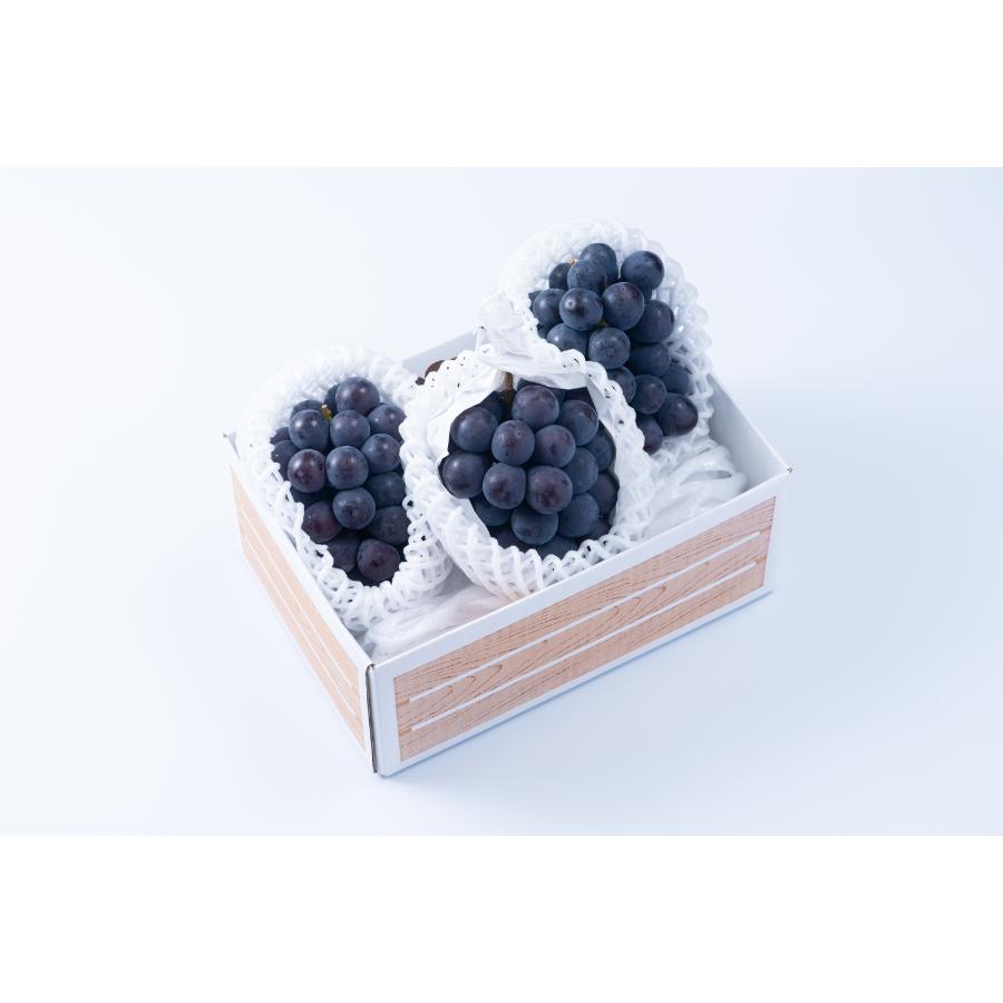 ＜福岡八女産黒木＞ピオーネ２ｋｇ