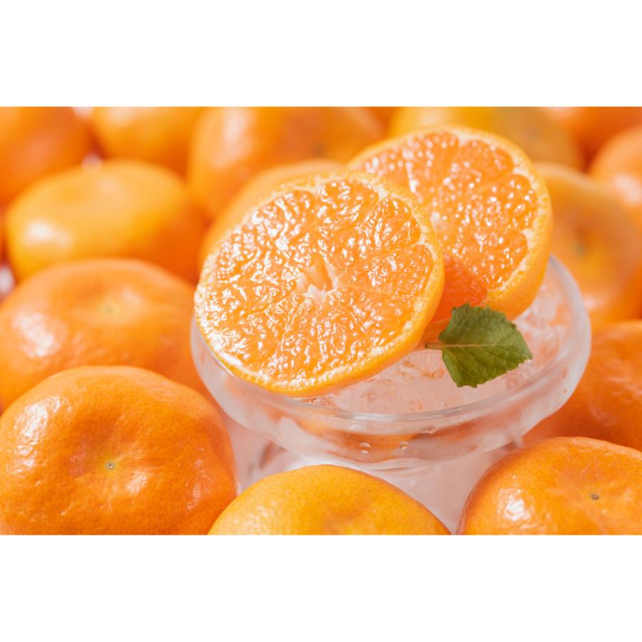 <南国フルーツ株式会社>八女産みかん2kg(サイズ:S~L)