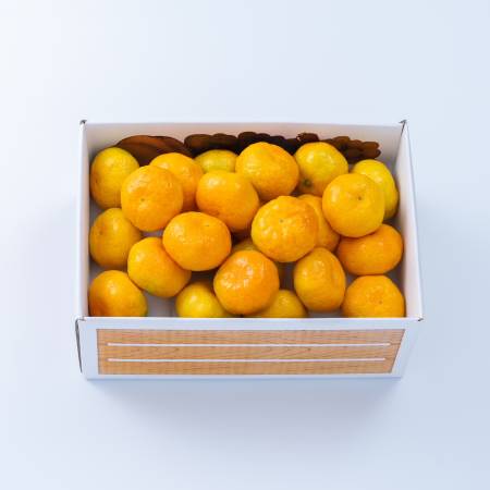 ＜南国フルーツ株式会社＞八女産みかん2kg(サイズ：S～L)