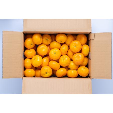 ＜南国フルーツ株式会社＞八女産みかん5kg(サイズ：S～L)