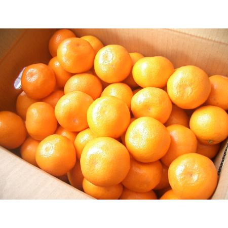 ＜南国フルーツ株式会社＞八女産みかん10kg(サイズ：S～L)