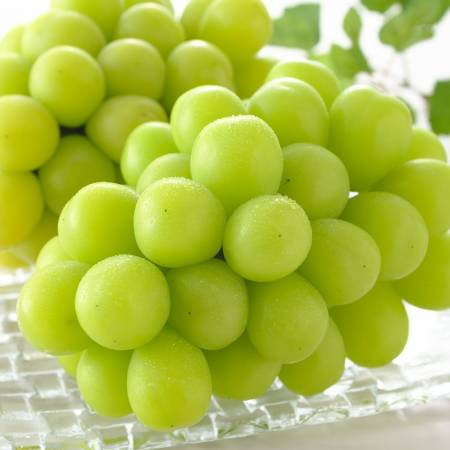 ＜ちくご葡萄園＞シャインマスカット大粒４Lサイズ（1.3kg）（三越伊勢丹選定）