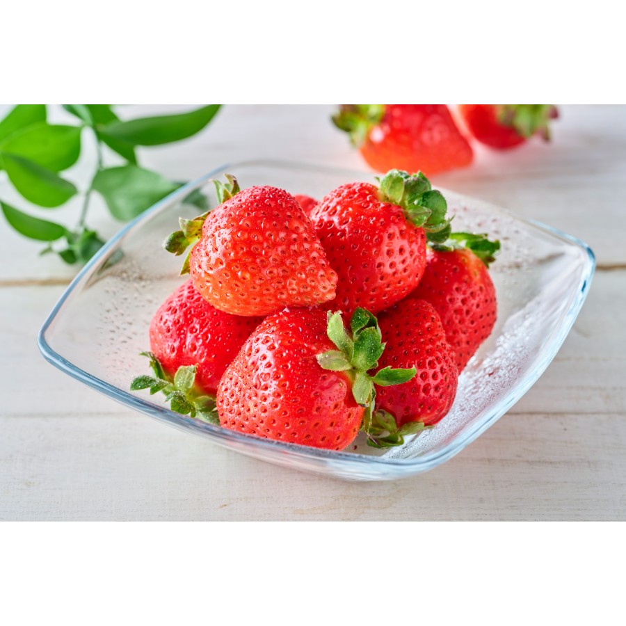 <あつひろ農園>みつのか280g×4p