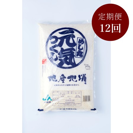 ＜岩田屋本店･南国フルーツ＞福岡のお米「元気つくし」5kg12ヶ月定期便