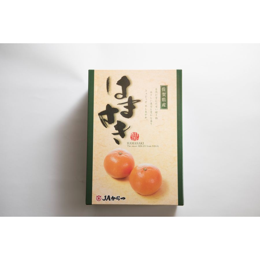 ＜岩田屋本店･南国フルーツ＞佐賀産高級柑橘はまさき（麗紅）2.5kg（10-15玉）