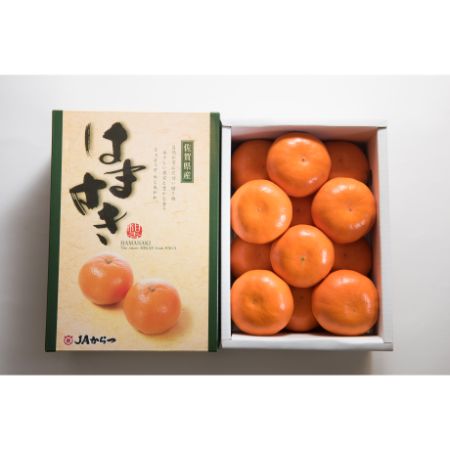 ＜岩田屋本店･南国フルーツ＞佐賀産高級柑橘はまさき（麗紅）2.5kg（10-15玉）