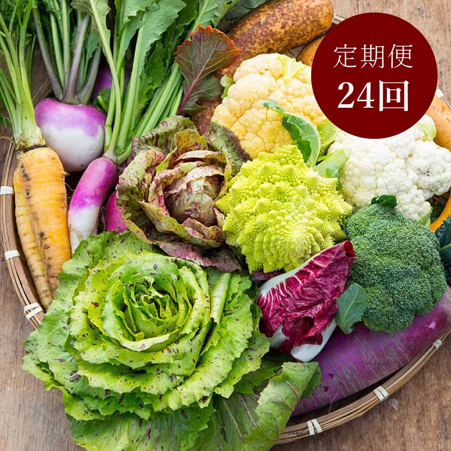 イタリア野菜セット7品 定期便 年24回 11月開始 三越伊勢丹ふるさと納税