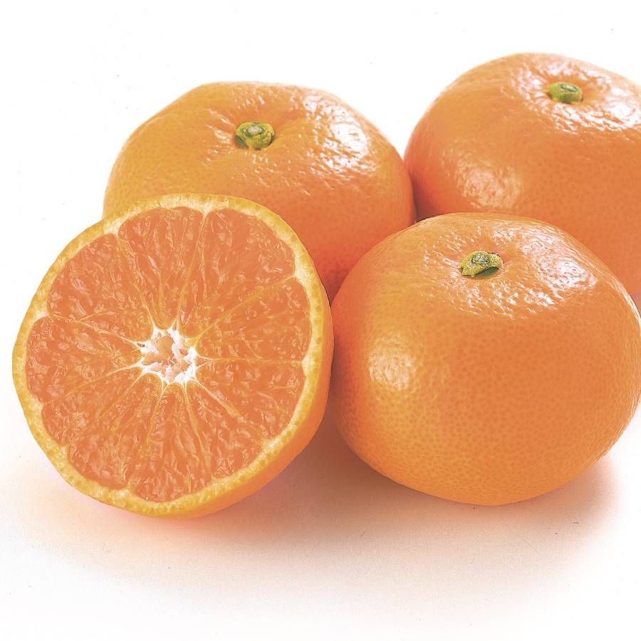 佐賀県産みかん「さが美人」　５kg