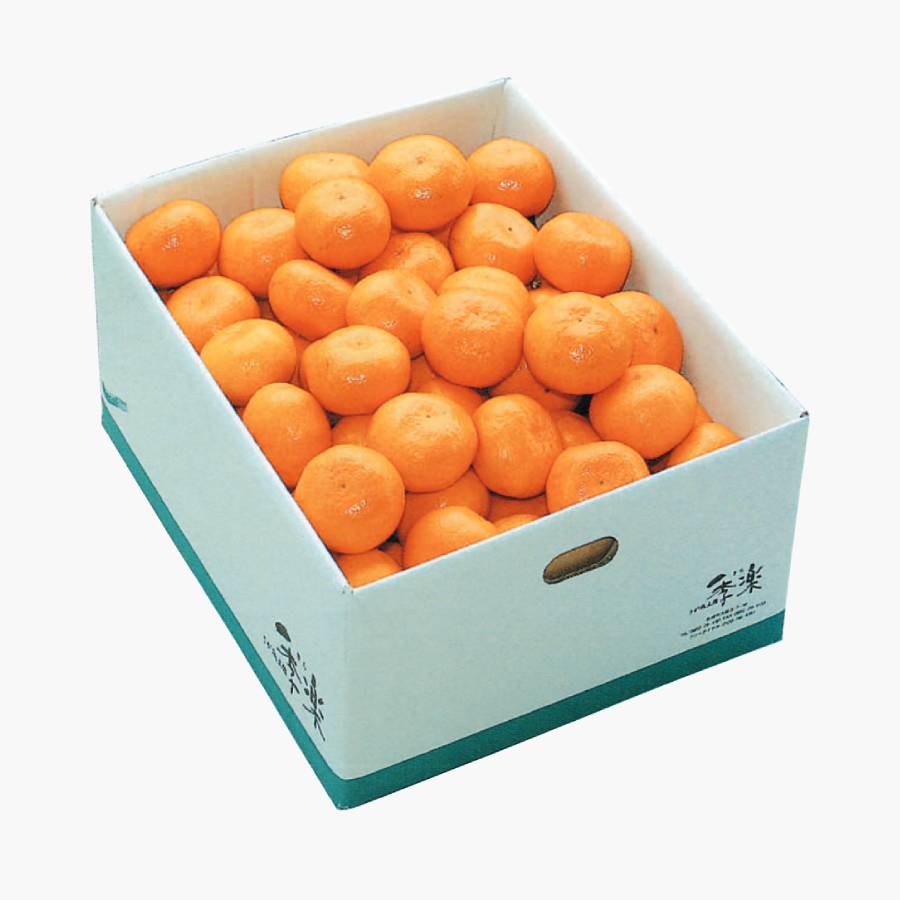 佐賀県産みかん「さが美人」　５kg