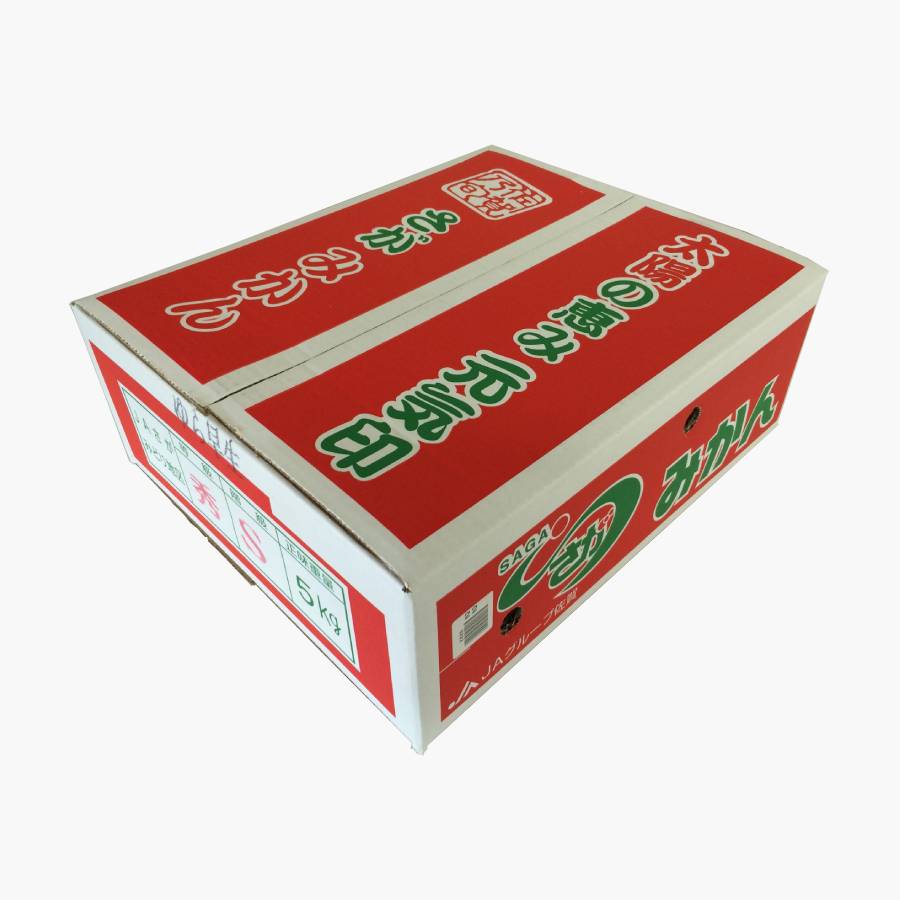 佐賀県産みかん「さが美人」　５kg