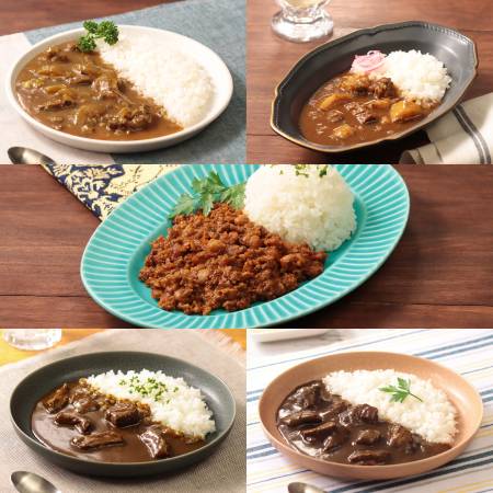 ＜カレー工房NVfoods＞カレー好きのためのアソート 5個セット