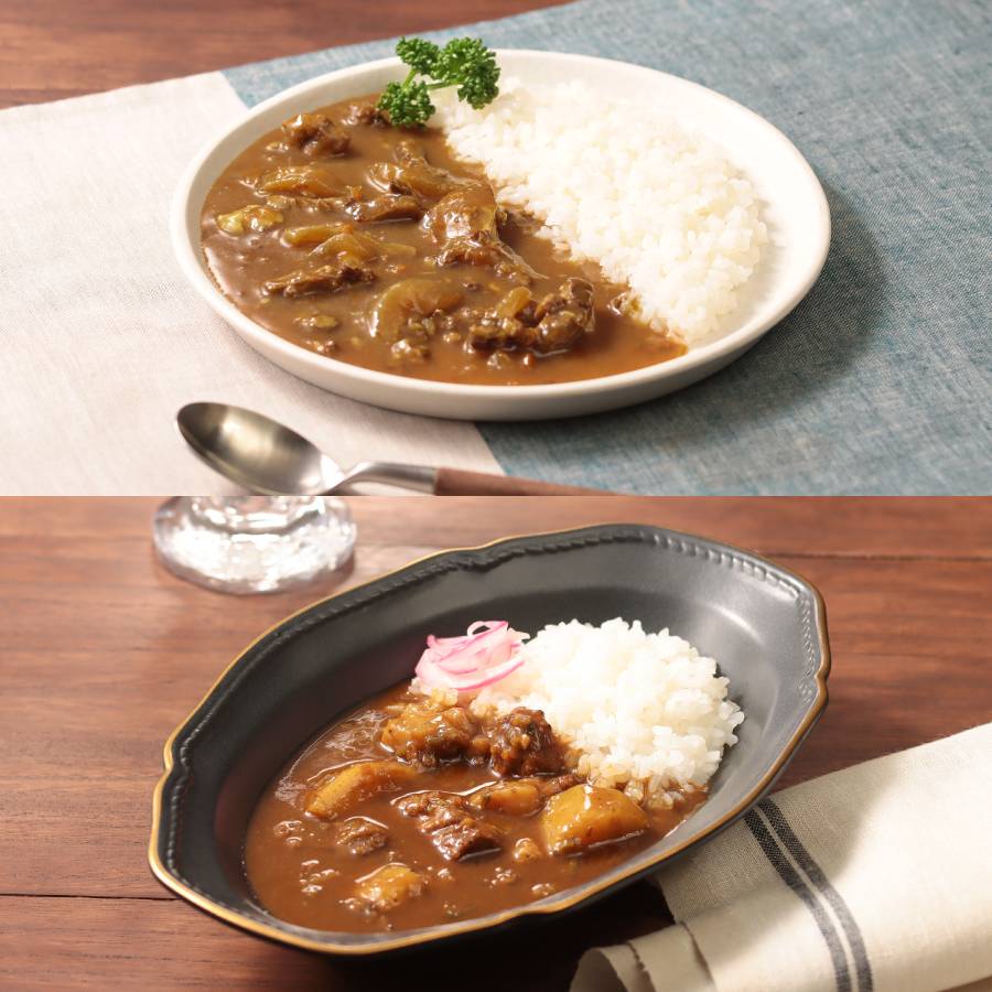 ＜カレー工房NVfoods＞カレー好きのためのアソート 12個セット