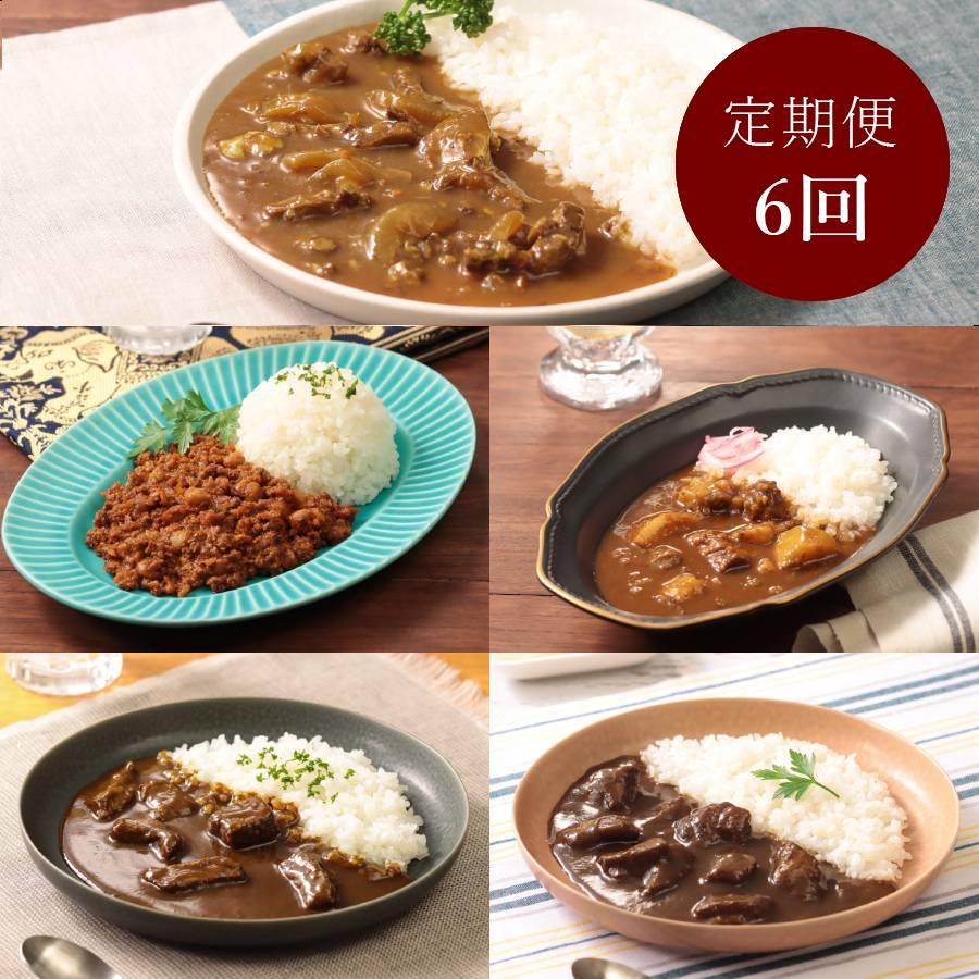 <カレー工房NVfoods>カレー好きのためのアソート 12個セット定期便 6カ月コース