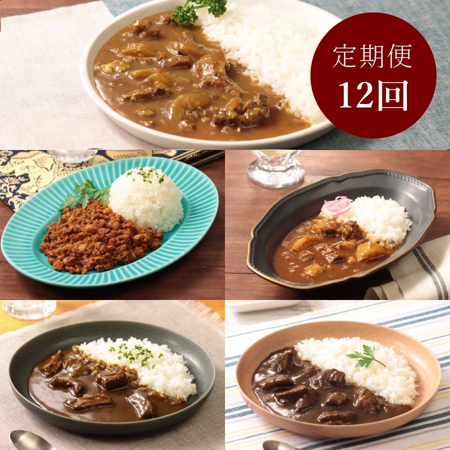＜カレー工房NVfoods＞カレー好きのためのアソート 12個セット定期便 12カ月コース