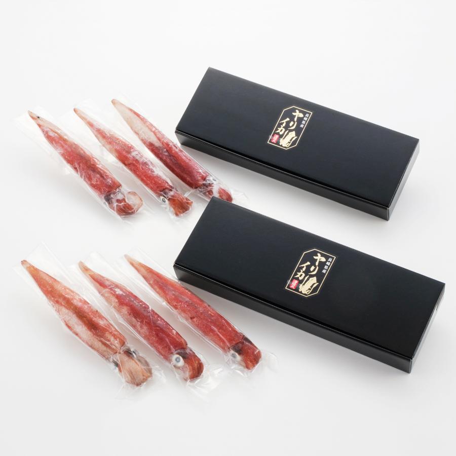 長崎県産 極鮮ヤリイカ 1kg(4～8匹)