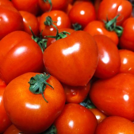 三越伊勢丹用真ごのトマト[トマトベリー3kg]
