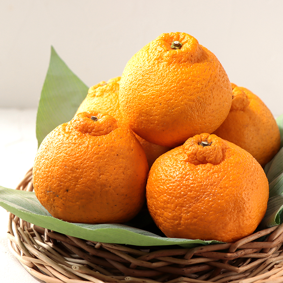 あまくさ不知火 2.5kg(9~12玉)(貯蔵)