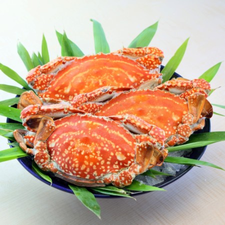 ＜天草FOOD LAB＞渡り蟹 （雌のみ3杯） 1杯300～350g（3杯合計1kg以上）