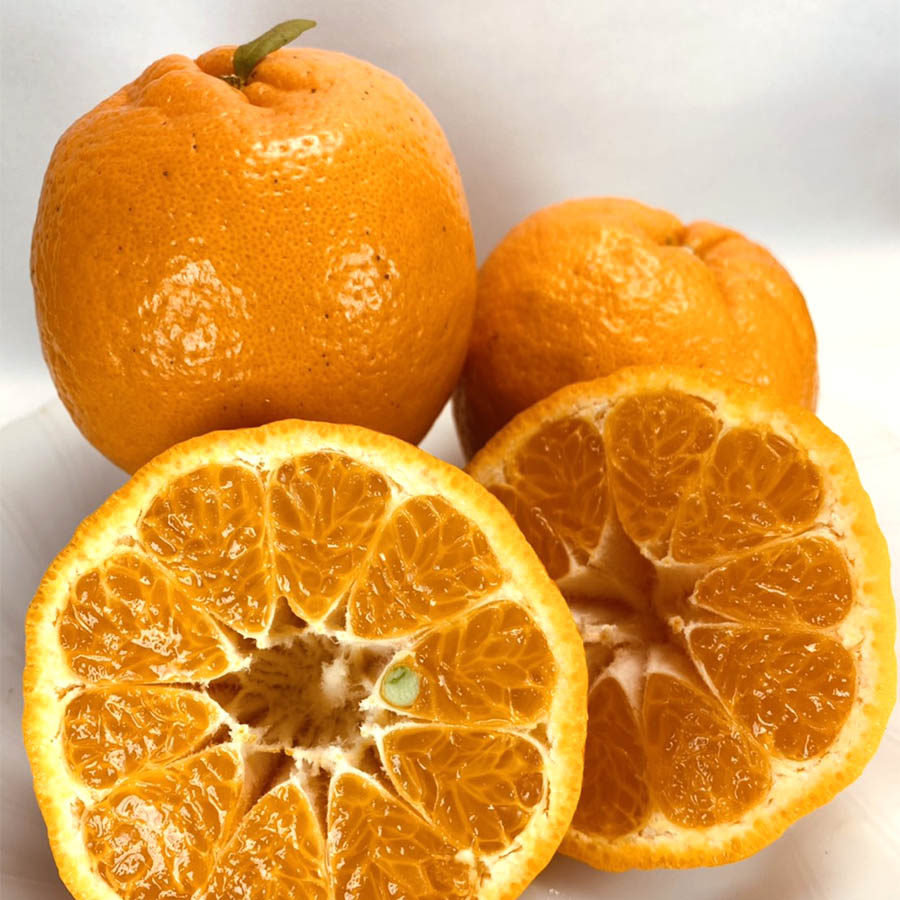 ポンカン 4kg 25～30玉入り