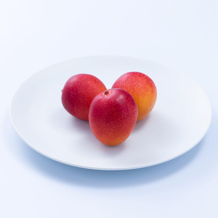 宮崎完熟マンゴー熟赤の雫　4～6玉（ご自宅用）1kg