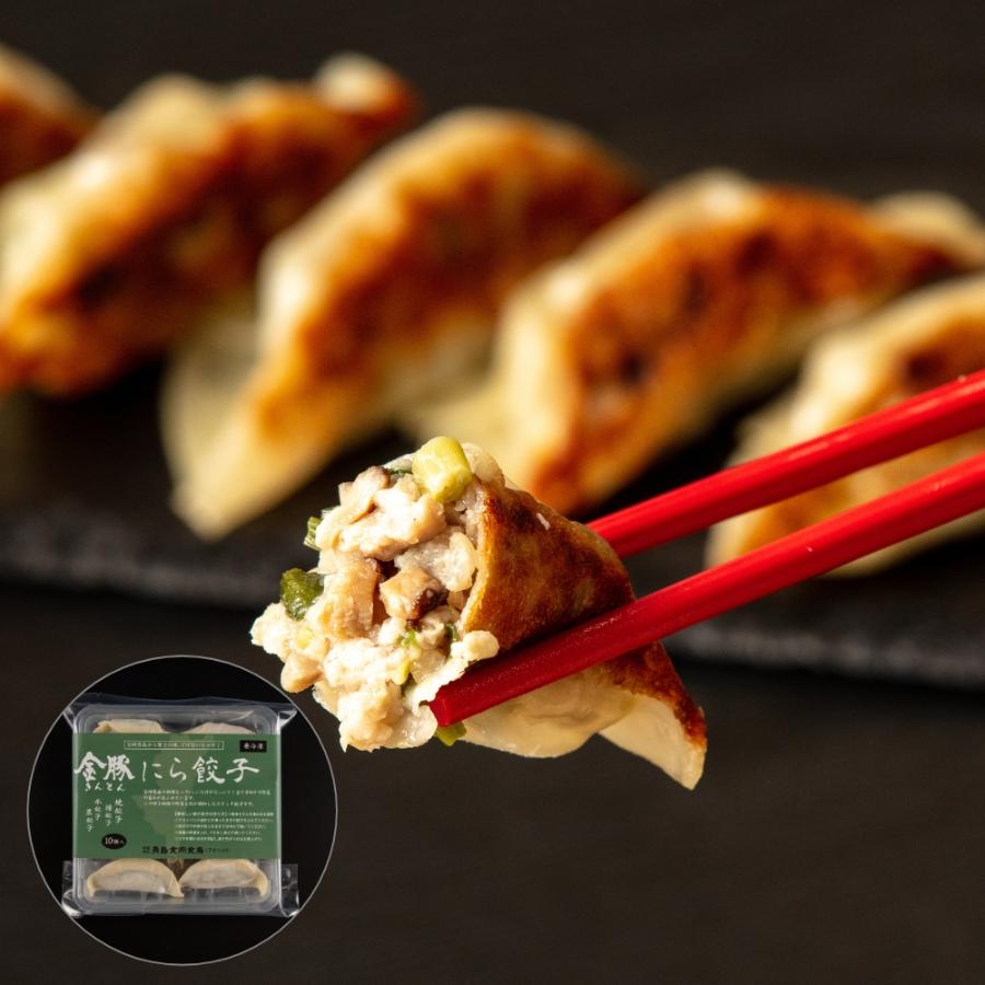 <金豚>【定期便】金豚餃子60個セット×12回