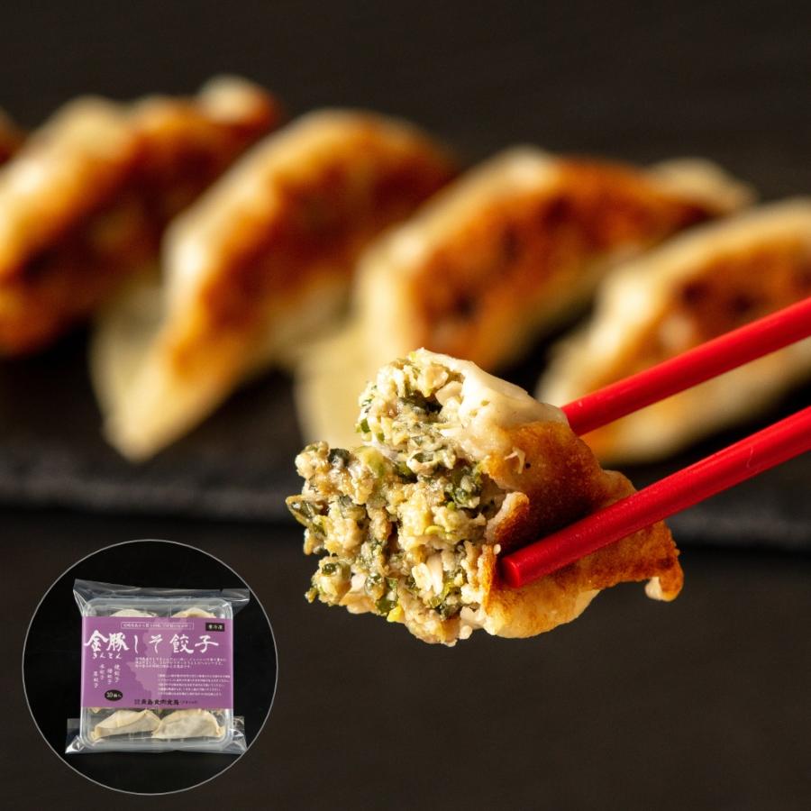 <金豚>【定期便】金豚餃子60個セット×12回