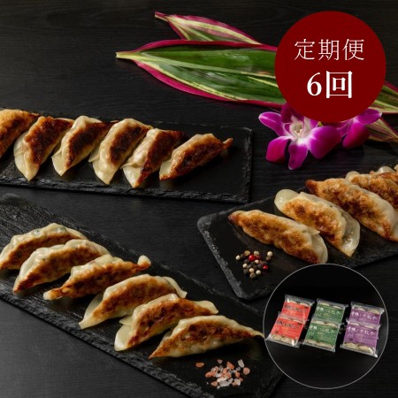 ＜金豚＞【定期便】金豚餃子60個セット×6回