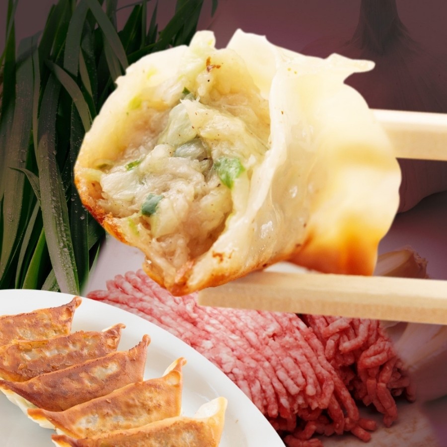 ＜屋台骨＞宮崎餃子4種 48粒セット 960g